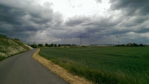 2015-05-30 13.56.55