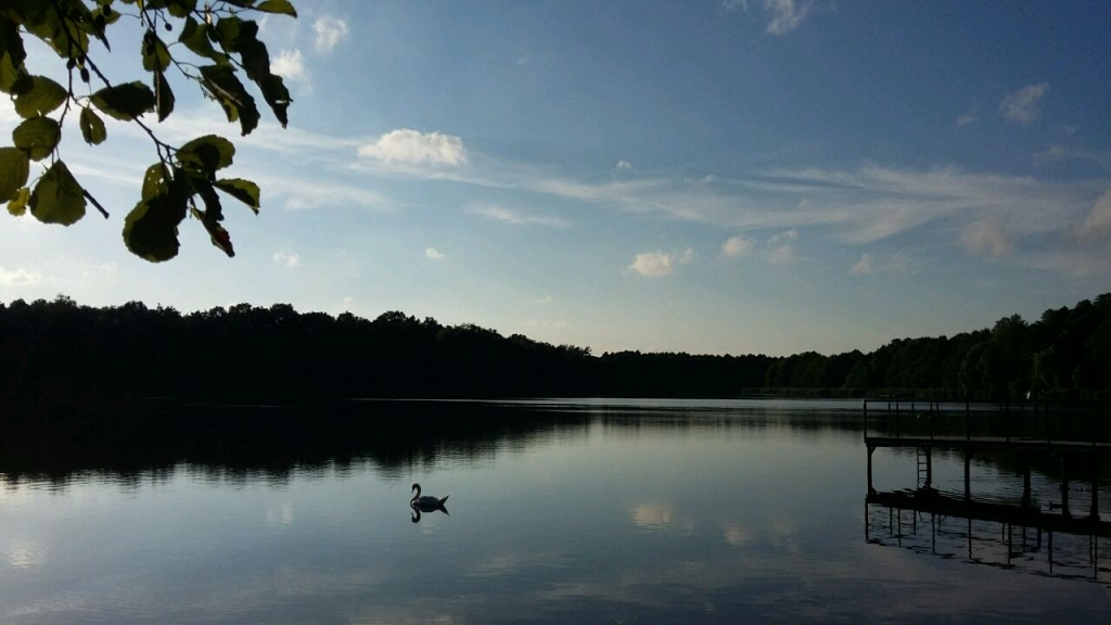 Güterfelder See