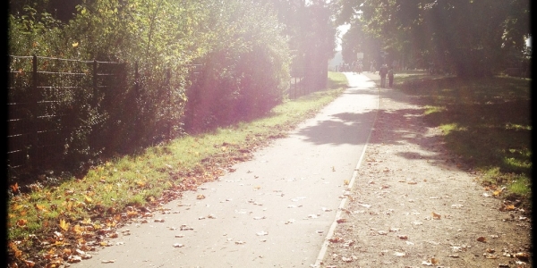 longboard-strecke-berlin-pfaueninsel-13