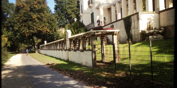 longboard-strecke-berlin-pfaueninsel-14