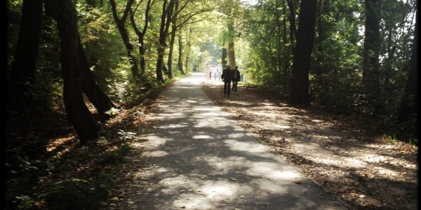 longboard-strecke-berlin-pfaueninsel-6