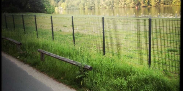 longboard-strecke-potsdam-14
